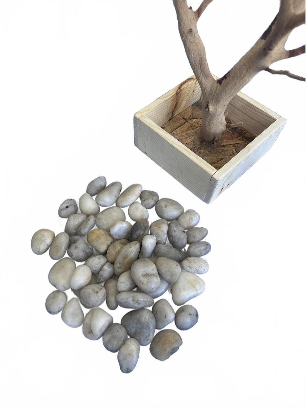 Large Decorative Minimalist Manzanita Branch Tree with Pebble Base - Picture 5 of 11
